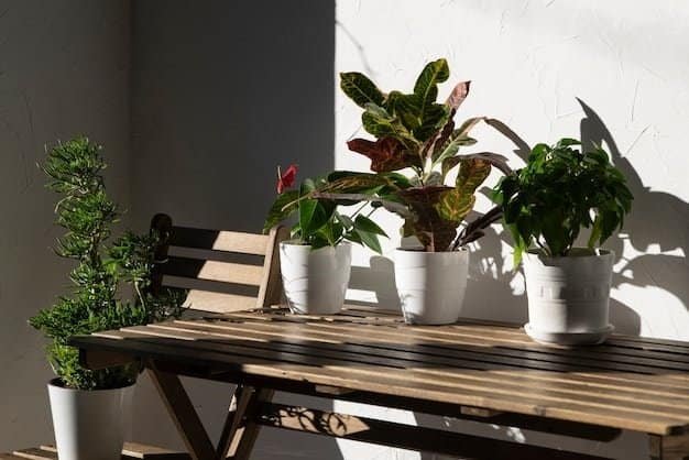 Lpa-amenagement-exterieur - Top 5 idées d'aménagement de balcon pour 2025 - Featured Image 1
